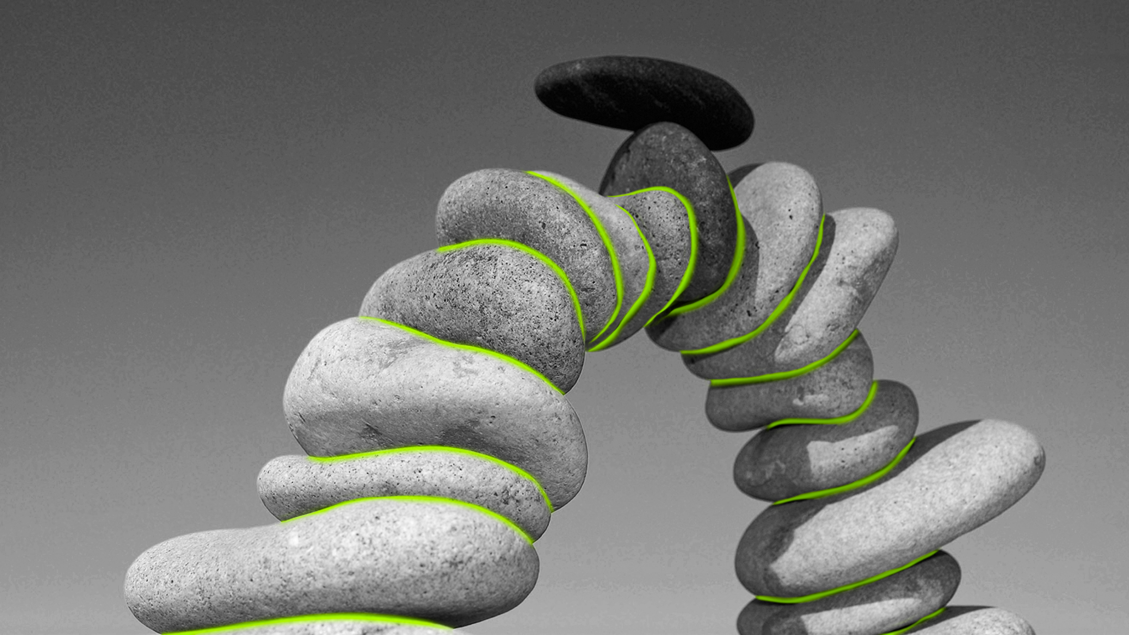 ORGANISATION_grau_grün